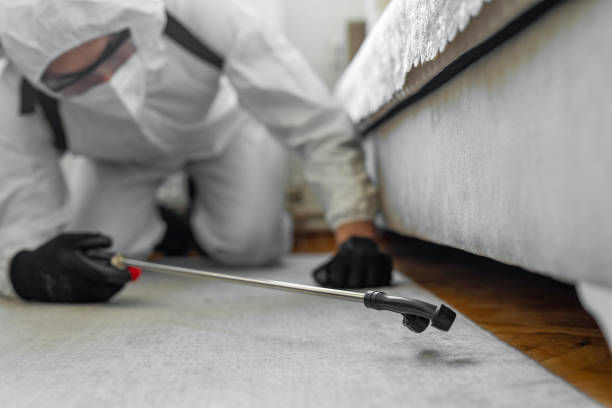 Professional Mosquito Control technician working in Jackson, MO