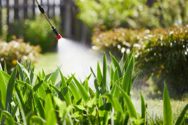 24/7 Emergency Mosquito Control experts in Jackson, MO