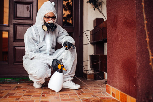 Reliable Mosquito Control contractor in Jackson, MO by Nex Pest Control